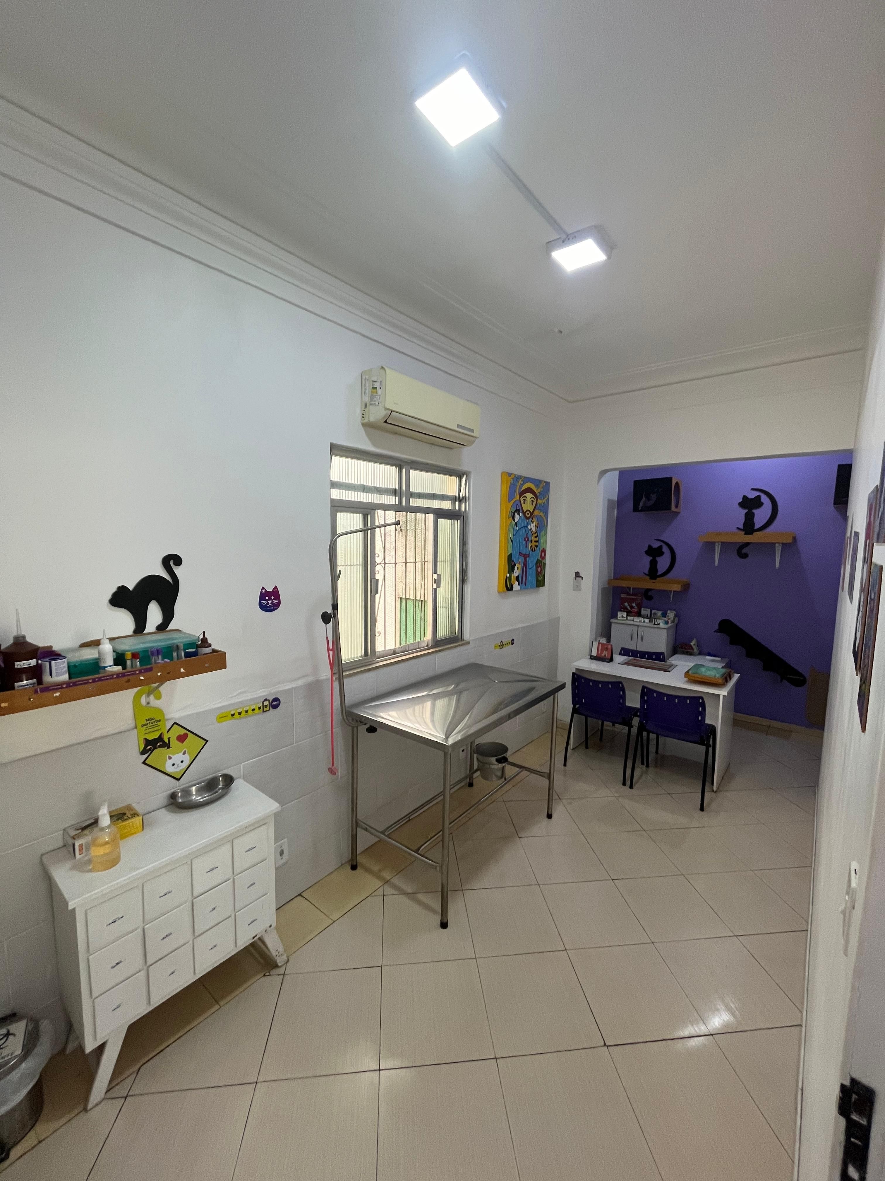 Consultório com nichos para gatos