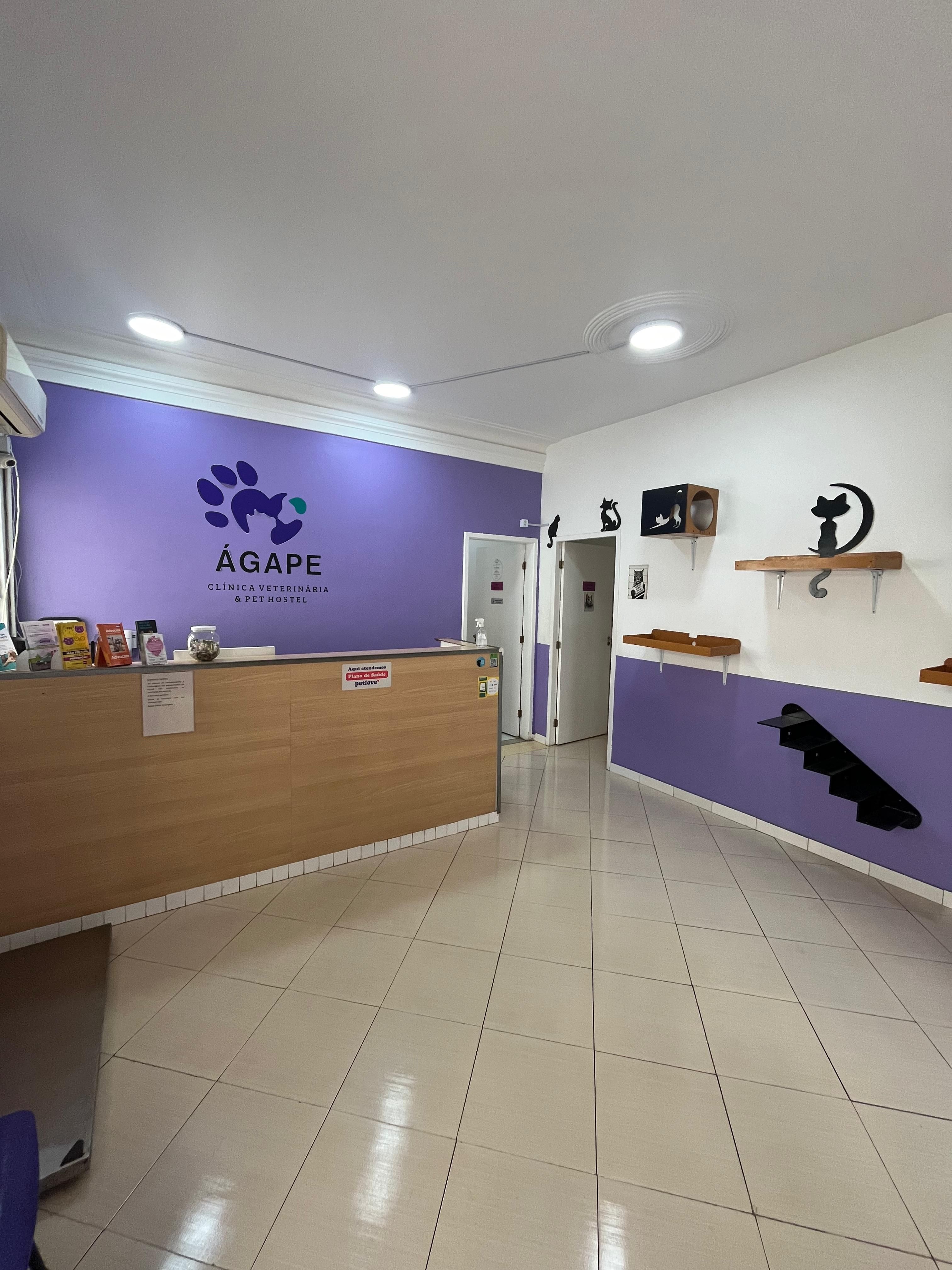 Recepção com os espaços cat friendly