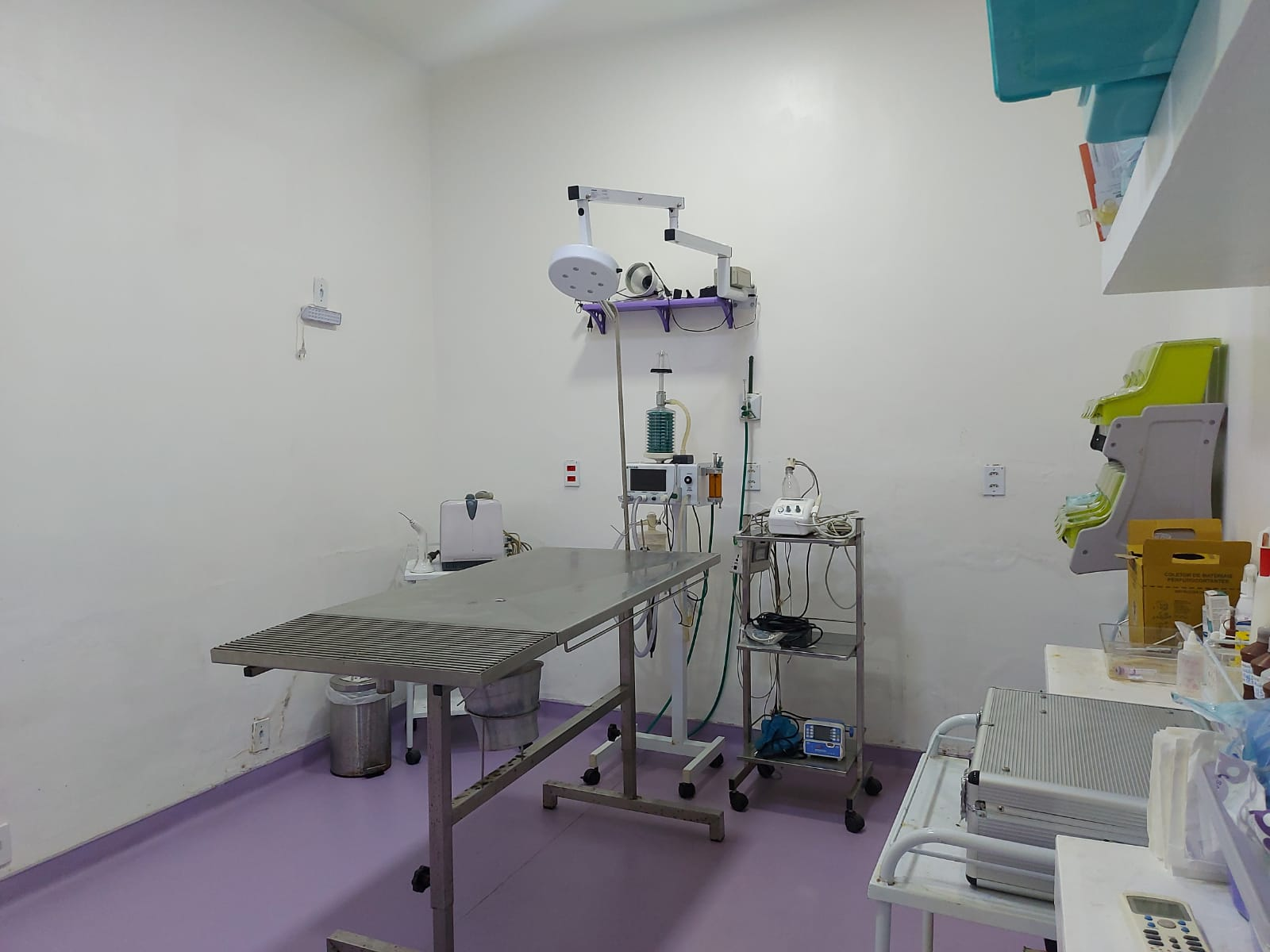 Galeria